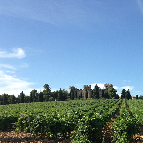 A beautiful vineyard, complete with castle! 